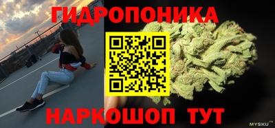прущие грибы Уссурийск
