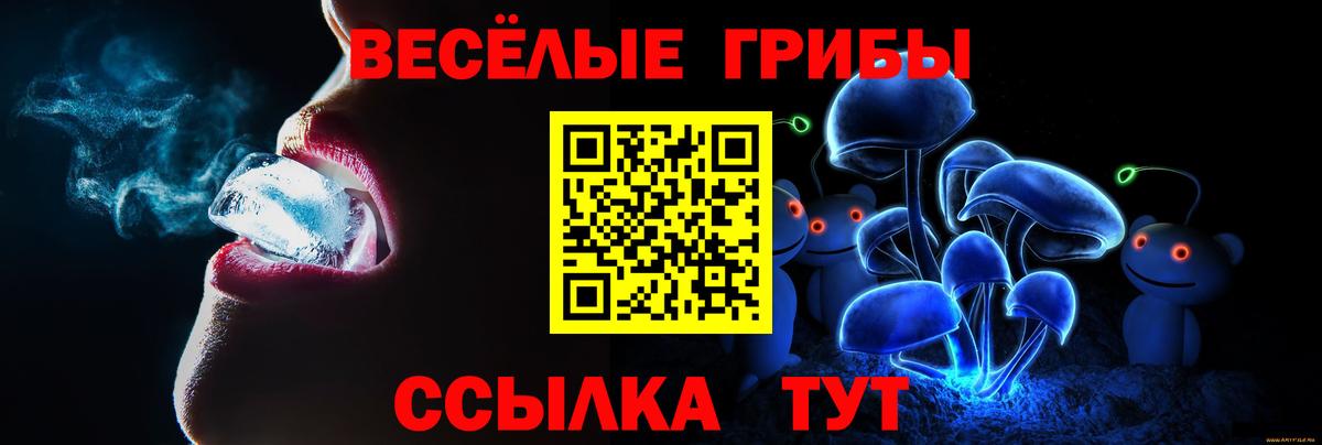 Псилоцибиновые грибы Cubensis Чапаевск